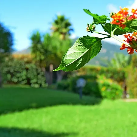 Holiday home Casa Roma